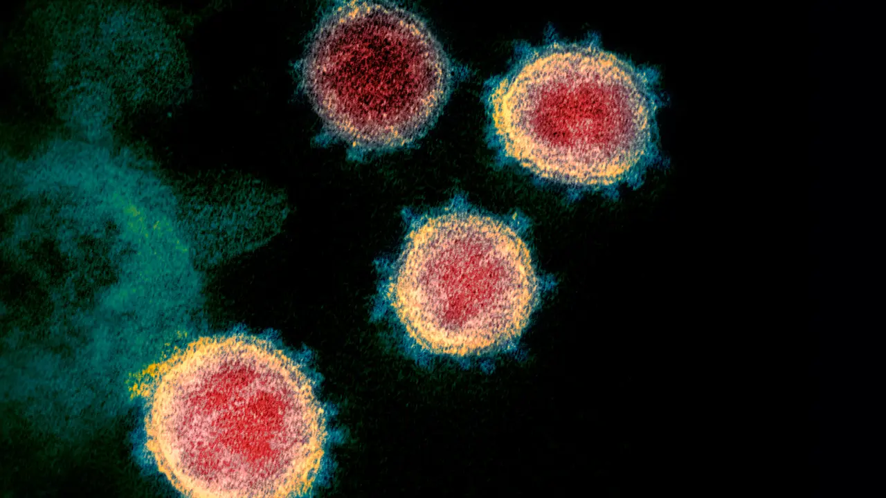 Virus Corona COVID-19 dari Mikroskop