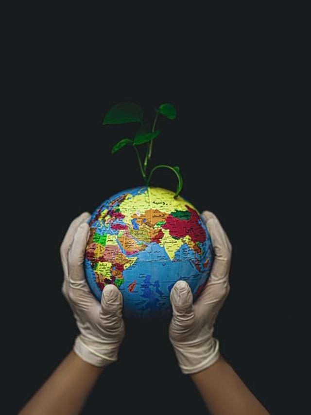 Bantu bumi jadi lebih hijau dimulai dari rumah.