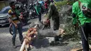 Petugas Suku Dinas Kehutanan Jakarta Timur menebang pohon di sisi jalan raya Bogor, Jakarta, Kamis (9/3/2023). Penebangan pohon dilakukan untuk antisipasi cuaca buruk yang seringkali mengakibatkan tumbangnya pohon di berbagai kawasan ibu kota.  (Liputan6.com/Faizal Fanani)