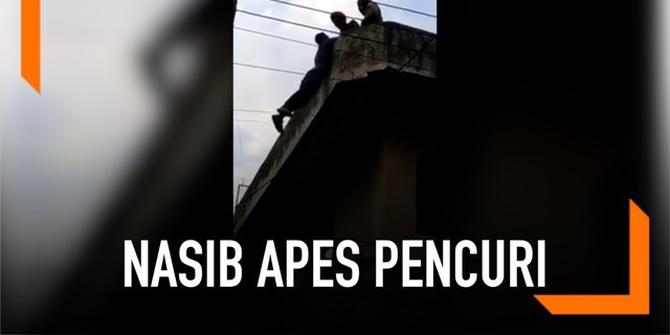 VIDEO: Hendak Kabur, Pencuri Jatuh dari Atas Bangunan