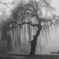 Lewat kuburan sendiri nggak masalah buat beberapa orang yang terlahir di zodiak ini. (Sumber foto: kpshaw.blogspot.co.id)