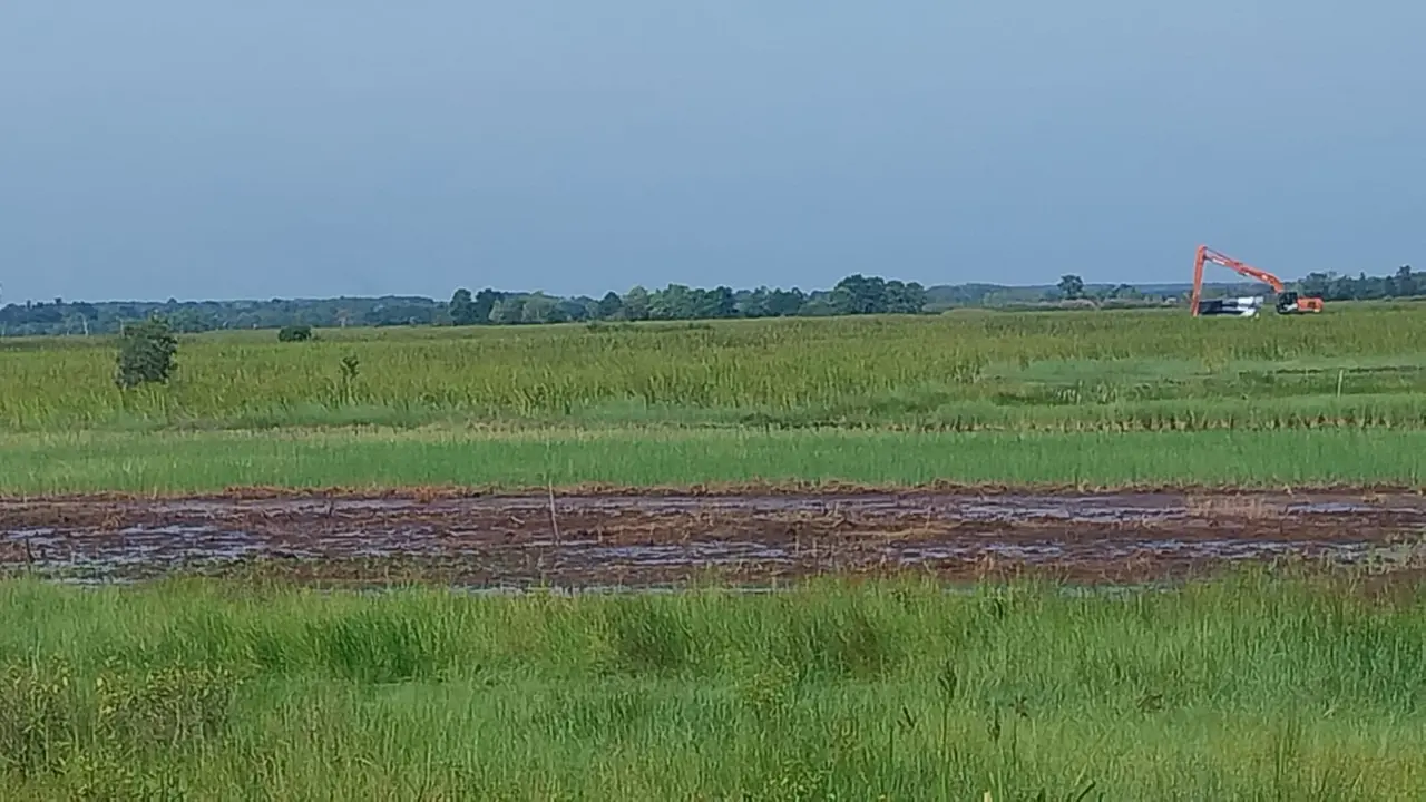 Kementerian Pertanian (Kementan) memastikan "Program Cetak Sawah Rakyat (CSR) di Kalimantan Tengah berjalan lancar (Istimewa)