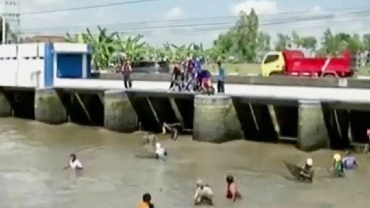 Berburu Ikan Mabuk