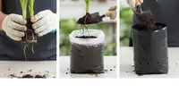 8 Cara Menanam Daun Pandan di Polybag agar Subur, Daunnya Lebat dan Wangi