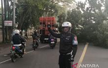 Polres Cianjur Tangani Cepat Jalur Bandung-Cianjur Terputus Akibat Pohon Tumbang