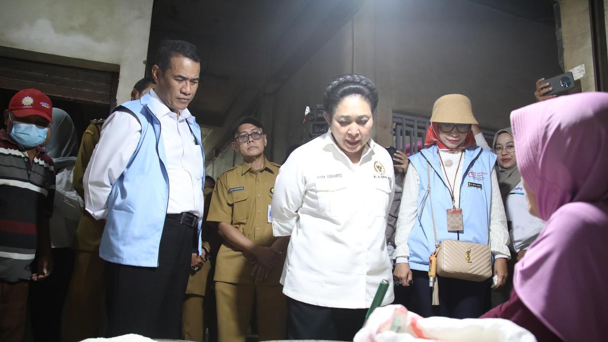 Kenaikan Produksi Beras hingga Pangkas Aturan Pupuk Subsidi Jadi Sorotan DPR