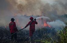 FOTO: Aksi Cepat Tim Gabungan Manggala Agni Padamkam Kebakaran Lahan Gambut