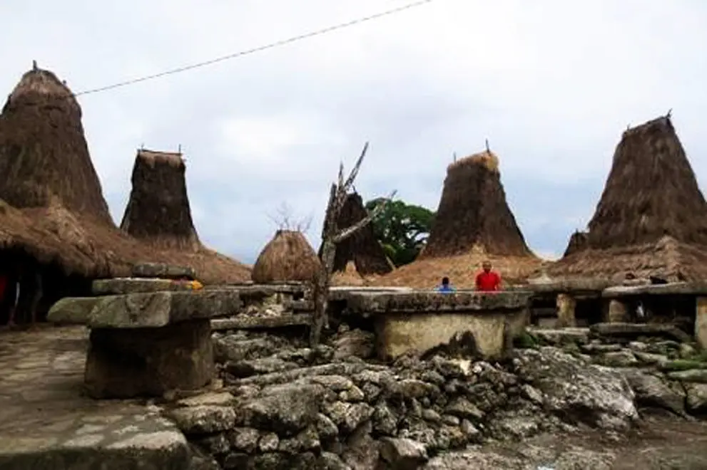 Kampung Adat Tarung, Kelurahan Sobabwawi, Kecamatan Loli, Kabupaten Sumba Barat, NTT, sebelum hangus terbakar. (Liputan6.com/Ola Keda)