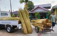 Ekspor Lidi Nipah Kaltim Tembus Pasar India, Petani Hutan Raup Ratusan Juta