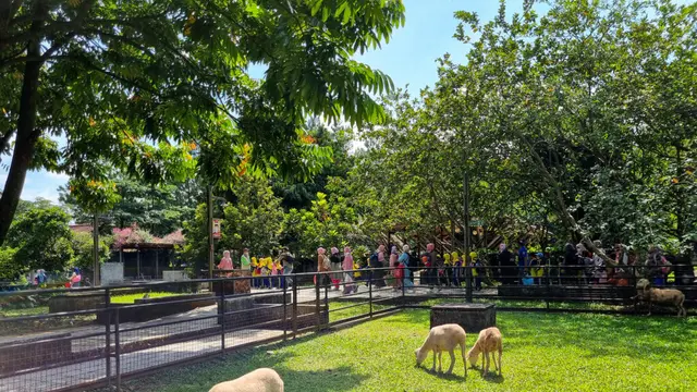 Kuntum Farmfield dan Nurseries