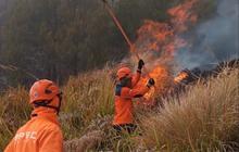 Enam Petugas Gugur di Bromo, BNPB Evaluasi Penanganan Karhutla