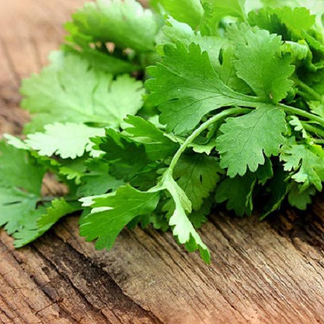 12 Manfaat Daun Ketumbar Untuk Kesehatan Bisa Cegah Kanker Hot Liputan6 Com