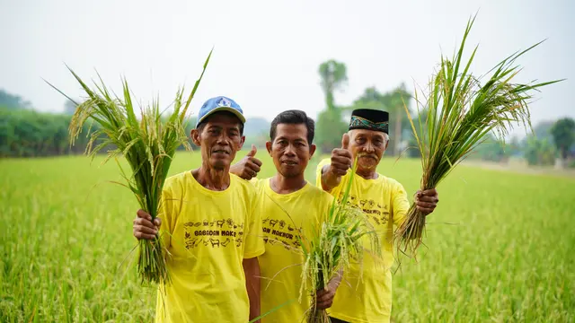 program Pertanian Bulutana Berkelanjutan, Sejahtera dan Mandiri (PKT BERSERI)