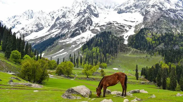 Jammu and Kashmir, India