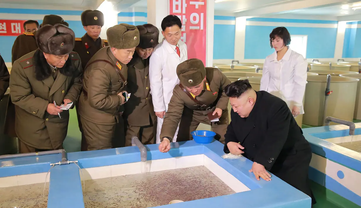Pemimpin Korea Utara, Kim Jong Un melihat tempat pembibitan ikan lele di Samchon Catfish Farm, Korea Utara, Selasa (21/2). Wajah Kim Jong Un terlihat bahagia saat melihat bibit-bibit ikan lele. (AFP Photo/KCNA)