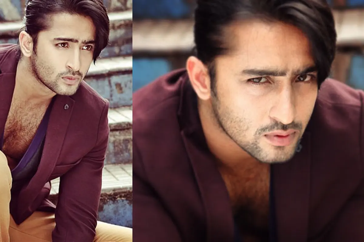 Shaheer Sheikh 
