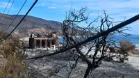 Sisa-sisa kebakaran besar di California Selatan yang berlangsung lebih dari 12 hari dan merusak 6.000 bangunan. (AFP)