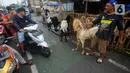 Dimana sehari menjelang Idul Adha, pedagang mampu menjual sekitar 230 kambing dengan harga antara Rp 3,5 hingga Rp 10 juta. (merdeka.com/Arie Basuki)