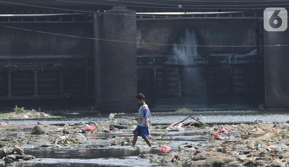 Seorang anak menyusuri aliran Kali Bekasi yang menyurut di kawasan Margahayu, Bekasi, Jawa Barat, Selasa (8/10/2019). Musim kemarau berkepanjangan menyebabkan debit air Kali Bekasi menurun dan hampir mengering di beberapa titik. (merdeka.com/Iqbal Nugroho)