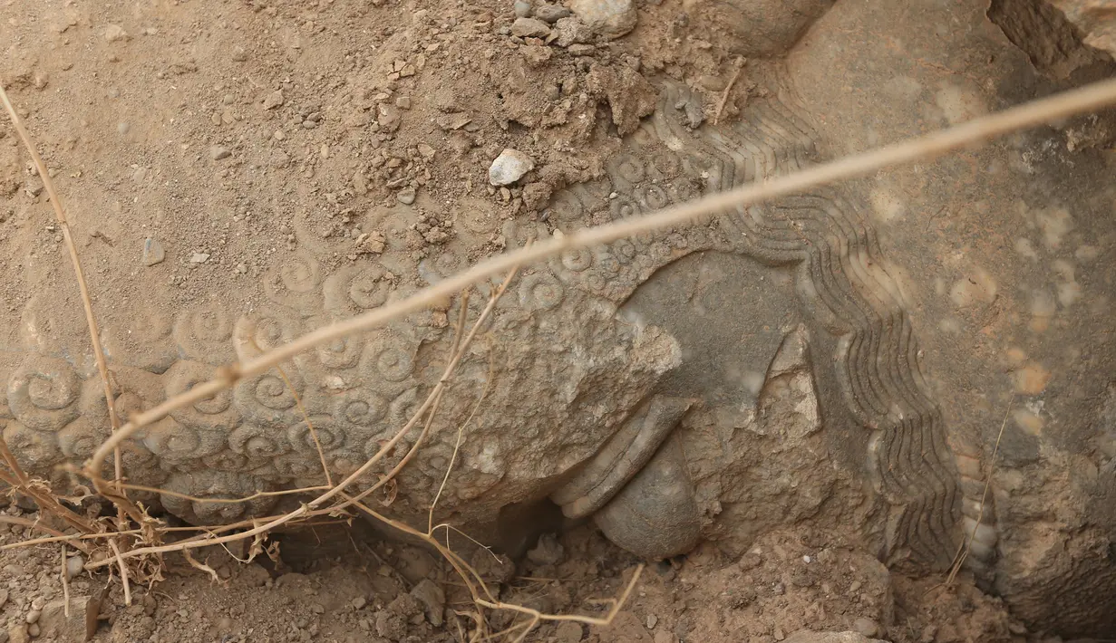 Reruntuhan patung makhluk bersayap yang dihancurkan ISIS di situs kuno Nimrud. selatan Mosul, Irak, (16/11). Situs kuno Nimrud menyimpan berbagai patung-patung makhluk bersayap yang beraada di depan pintu gerbang istana. (REUTERS/Ari Jalal)