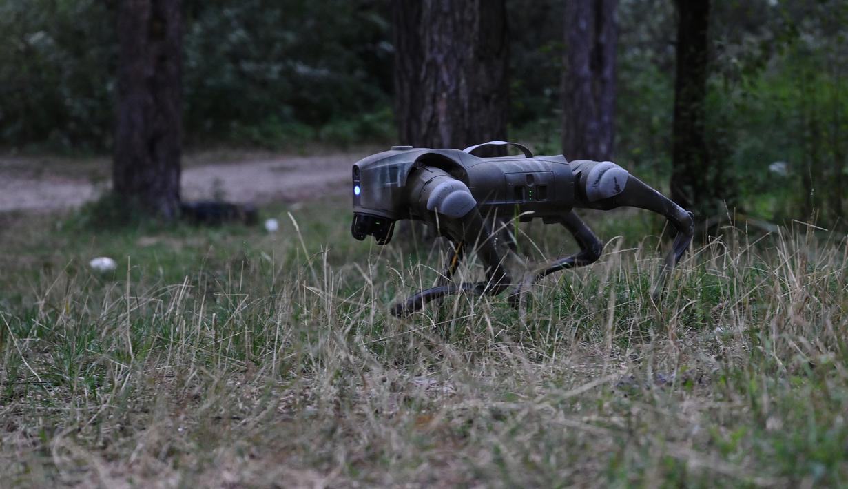 <p>Dan jika robot anjing tersebut jatuh ke tangan Rusia, sakelar darurat memungkinkan operator untuk menghapus semua datanya. (GENYA SAVILOV / AFP)</p>