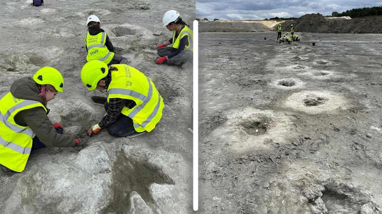 Lihat Tonjolan Kecil di Tanah Liat, Pekerja Tambang Temukan Situs Jejak Kaki Dinosaurus Terbesar di Inggris
