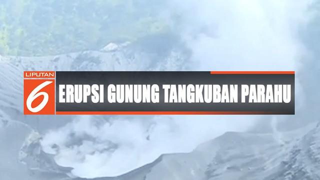 Berita Gunung Tangkuban Parahu Erupsi Hari Ini Kabar Terbaru