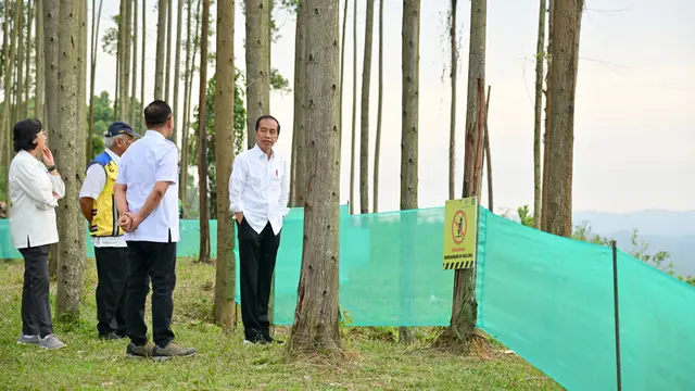 Presiden Jokowi tampak menikmati udara pagi sambil meninjau pemandangan serta progres pembangunan IKN dari atas bukit pada Jumat pagi, 22 September 2023.