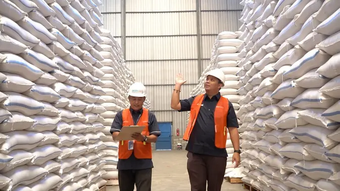 BGR Logistik Siapkan Gudang Raksasa, Bulog Serap Gabah Petani.