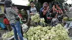 Warga membeli kulit ketupat untuk bahan membuat ketupat yang menjadi makanan khas di Hari Raya Idul Fitri, Jakarta, Senin (4/7). Jelang Hari Raya Idul Fitri, pedagang kulit ketupat mulai kebajiran pembeli. (Liputan6.com/Yoppy Renato)