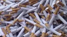 Bea Cukai Menilai Larangan Bahan Tambahan Rokok Perlu Dikaji, Ini Alasannya