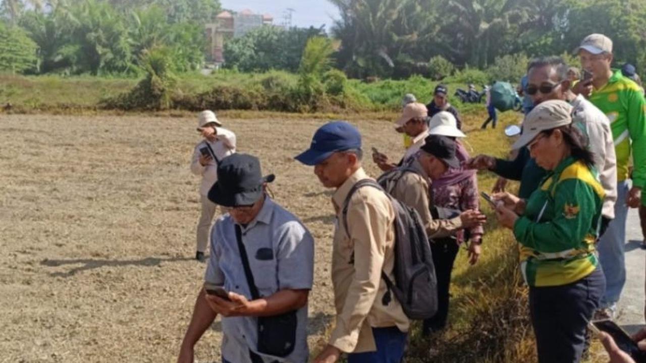 BBRMP Maluku Tingkatkan Kapasitas Penyuluh Lewat Pelatihan Poligon Lahan Pertanian Digital