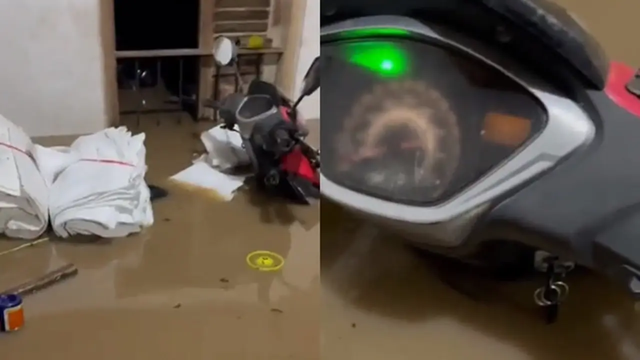 Motor terendam banjir (TikTok/@disukaioleh)
