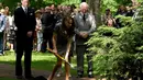 Meski berstatus bangsawan, Kate Middleton tak malu untuk menanam pohon saat Upacara Penanaman Pohon di Rideau Hall di Ottawa, Kanada. (Bintang/EPA)