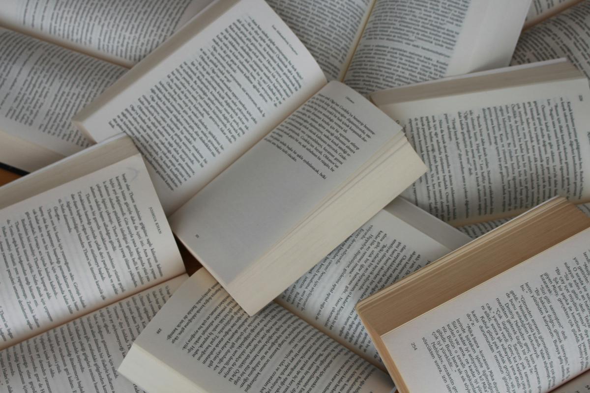 Ilustrasi buku (Foto: Unsplash/Gulfer Ergin)