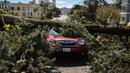 Pohon tumbang menimpa sebuah mobil setelah hujan badai lebat di Parker Avenue, San Francisco, California, Amerika Serikat, Rabu (22/3/2023). (Gabrielle Lurie/San Francisco Chronicle via AP)