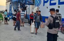 Jelang Nataru 2026, Pelni Peringatkan Bahaya Penipuan Tiket Pelni dari Agen Tidak Resmi