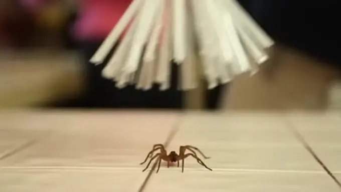 Foto: copyright mashable.com