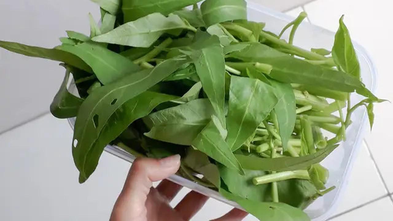 Resep Tumis Kangkung Tempe Ulek untuk Jadi Menu Bekal Sat Set