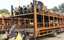 Mau dipakai di kampung, AHM angkut 1.100 motor pemudik