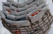 Berkunjung ke India, Dirut Bulog Ingin Impor 500.000 Ton Beras