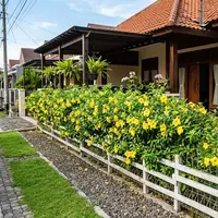 Tanaman alamanda. [AI Generated]
