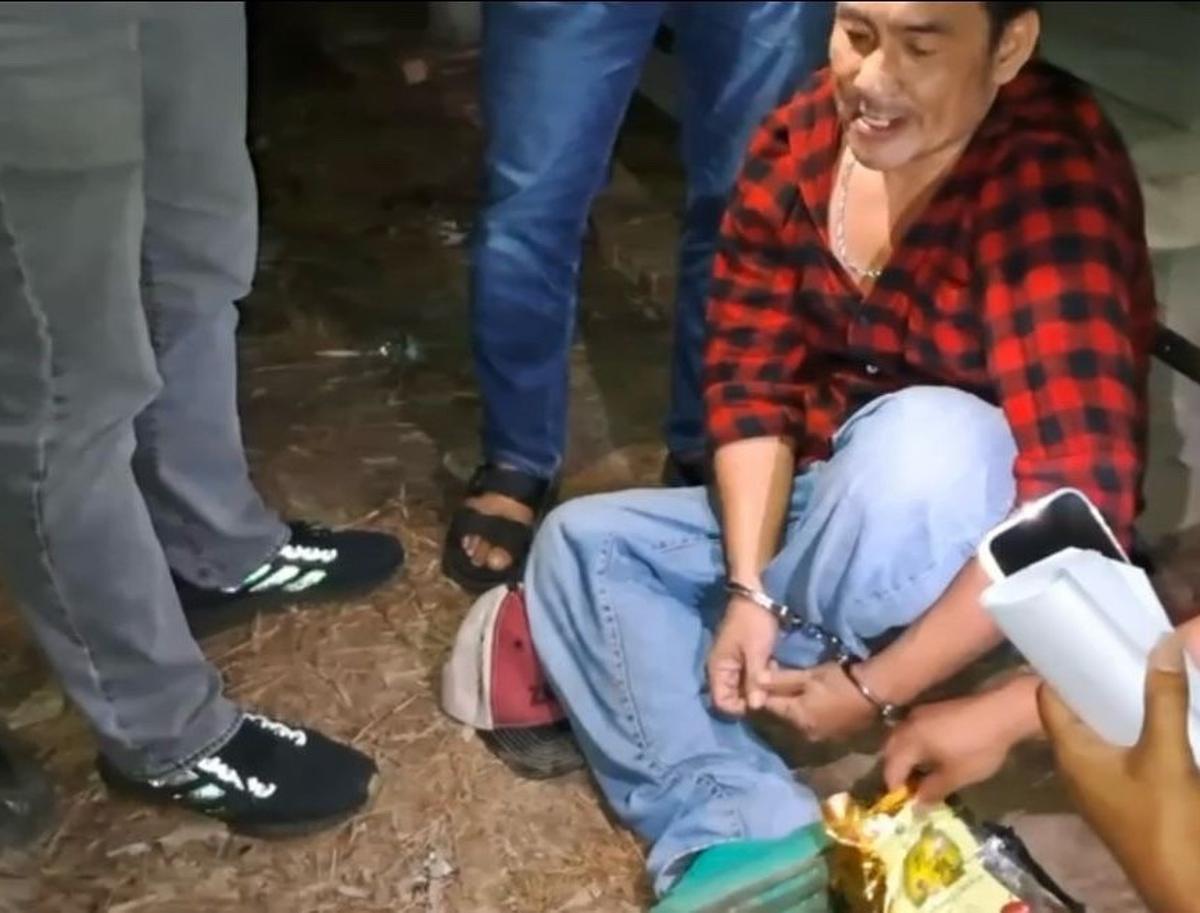 Pelaku pembantaian harimau sumatera ditangkap