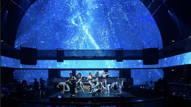 Where Your Senses Feast