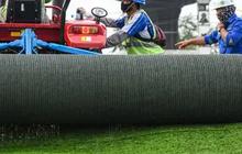 Rumput JIS Tidak Standar FIFA Mulai Dibongkar, Dirawat di Tempat Pembibitan Jakpro