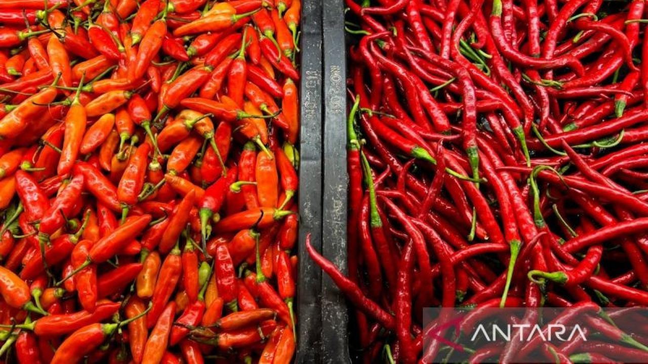 PIHPS Catat Kenaikan Harga Pangan Nasional: Cabai Rawit Merah Rp57 Ribu, Telur Ayam Rp36 Ribu