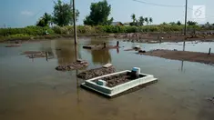 Suasana pemakaman yang terendam rob, di Desa Pantai Bahagia, Muara Gembong, Kabupaten Bekasi, Jawa Barat, Jumat (9/6). Banjir sering terjadi di kawasan tersebut dengan ketinggian air mencapai 50 cm.(Liputan6.com/Gempur M Surya)