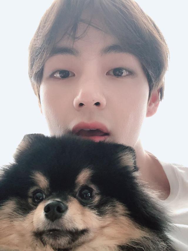 Kim Taehyung Ulang Tahun, Berikut 5 Fakta Tentangnya News & Entertainment
