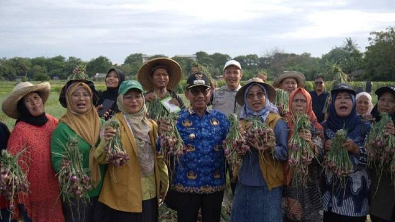 Perkuat Ketahanan Pangan, Legislator Dorong Urban Farming Tangerang