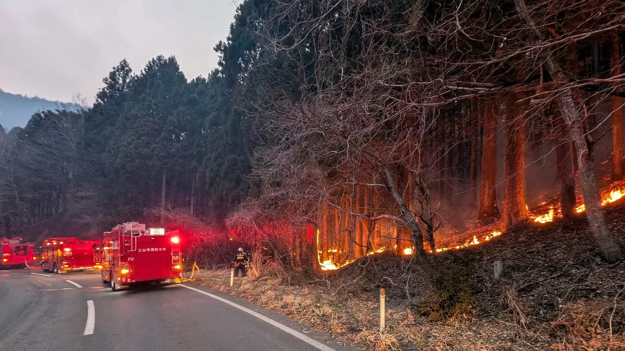 Jepang Dilanda Kebakaran Terbesar dalam 3 Dekade, Menyebar hingga 2100 Hektare (Foto: Fire And Disaster Management Agency Handout/EPA)